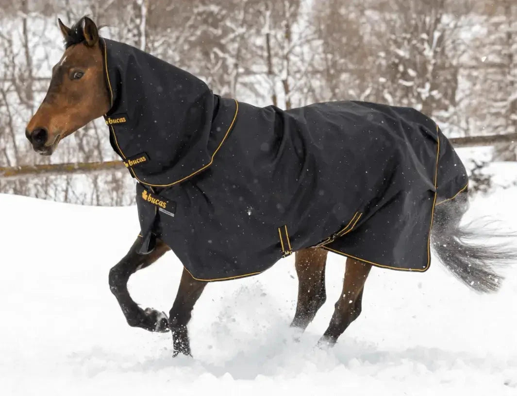 derka-bucas-irish-turnout-50g-neck-black-gold